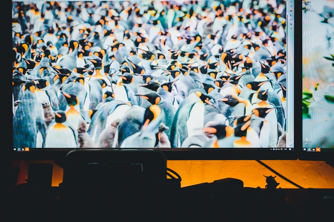 Wall of monitors displaying live television broadcast feeds